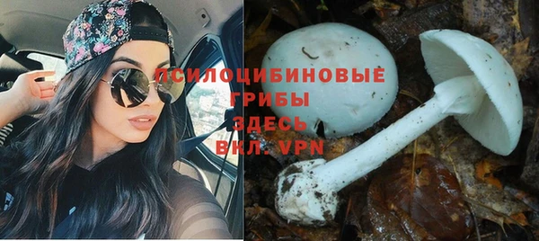 каннабис Аркадак
